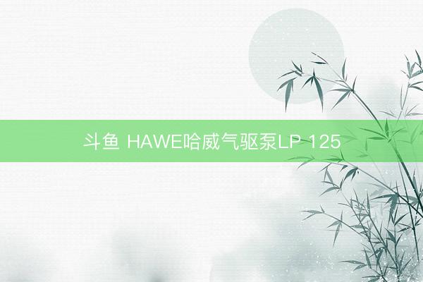 斗鱼 HAWE哈威气驱泵LP 125