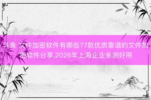 斗鱼 文件加密软件有哪些?7款优质靠谱的文件加密软件分享,2026年上海企业亲测好用