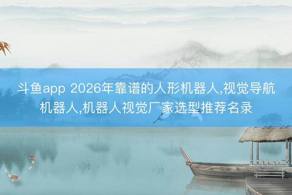 斗鱼app 2026年靠谱的人形机器人，视觉导航机器人，机器人视觉厂家选型推荐名录