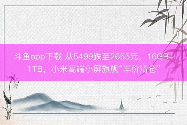 斗鱼app下载 从5499跌至2655元，16GB+1TB，小米高端小屏旗舰“半价清仓”