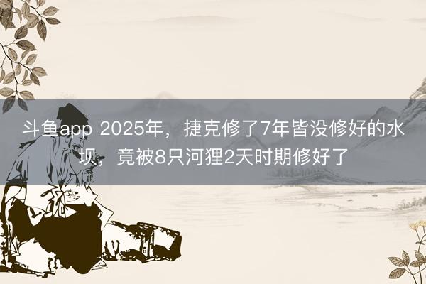 斗鱼app 2025年，捷克修了7年皆没修好的水坝，竟被8只河狸2天时期修好了