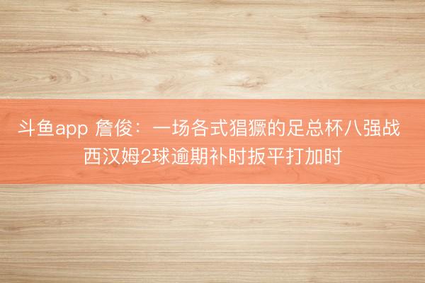 斗鱼app 詹俊:一场各式猖獗的足总杯八强战 西汉姆2球逾期补时扳平打加时