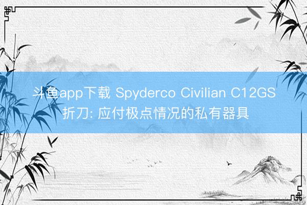 斗鱼app下载 Spyderco Civilian C12GS 折刀: 应付极点情况的私有器具