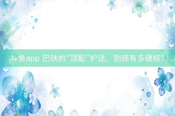 斗鱼app 巴铁的“顶配”护送，到底有多硬核？