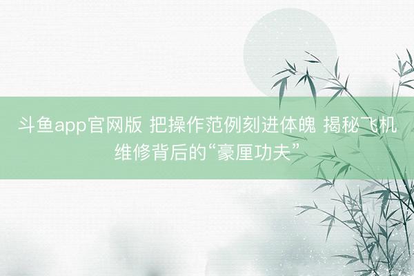 斗鱼app官网版 把操作范例刻进体魄 揭秘飞机维修背后的“豪厘功夫”