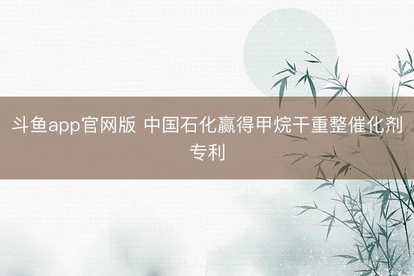 斗鱼app官网版 中国石化赢得甲烷干重整催化剂专利