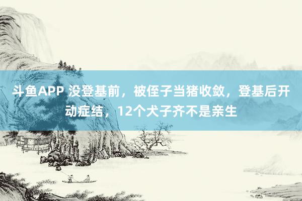 斗鱼APP 没登基前，被侄子当猪收敛，登基后开动症结，12个犬子齐不是亲生