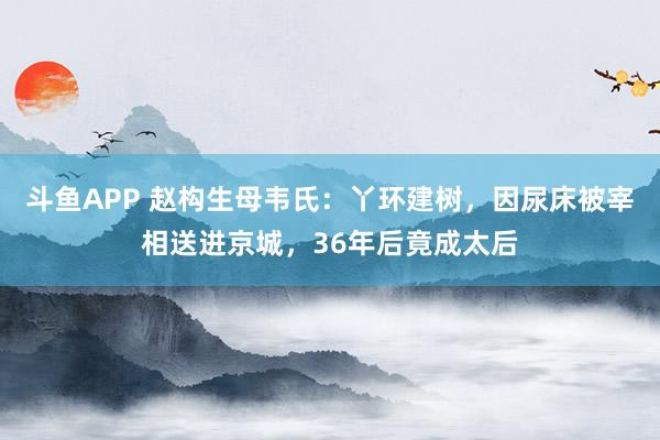 斗鱼APP 赵构生母韦氏：丫环建树，因尿床被宰相送进京城，36年后竟成太后