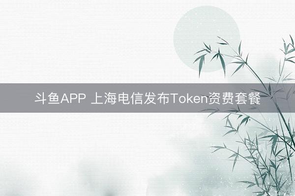 斗鱼APP 上海电信发布Token资费套餐
