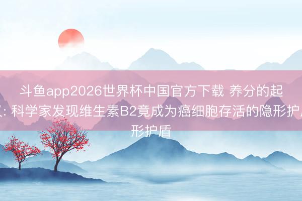 斗鱼app2026世界杯中国官方下载 养分的起义: 科学家发现维生素B2竟成为癌细胞存活的隐形护盾
