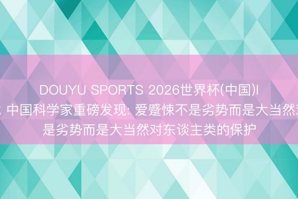 DOUYU SPORTS 2026世界杯(中国)IOS/安卓官方下载 中国科学家重磅发现: 爱蹙悚不是劣势而是大当然对东谈主类的保护