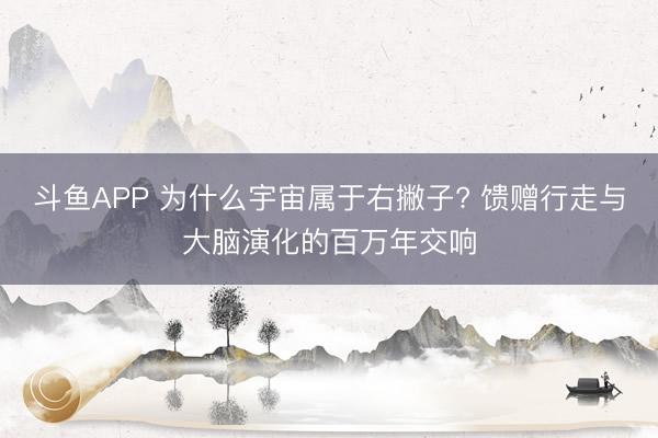 斗鱼APP 为什么宇宙属于右撇子? 馈赠行走与大脑演化的百万年交响