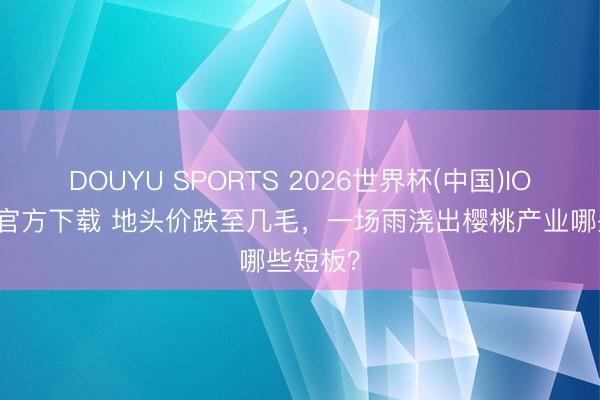 DOUYU SPORTS 2026世界杯(中国)IOS/安卓官方下载 地头价跌至几毛，一场雨浇出樱桃产业哪些短板？