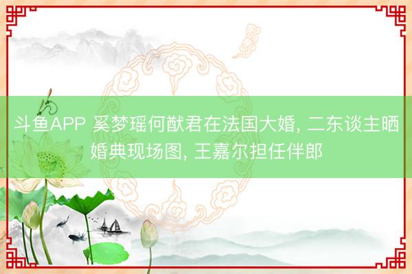 斗鱼APP 奚梦瑶何猷君在法国大婚， 二东谈主晒婚典现场图， 王嘉尔担任伴郎