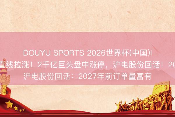 DOUYU SPORTS 2026世界杯(中国)IOS/安卓官方下载 直线拉涨！2千亿巨头盘中涨停，沪电股份回话：2027年前订单量富有