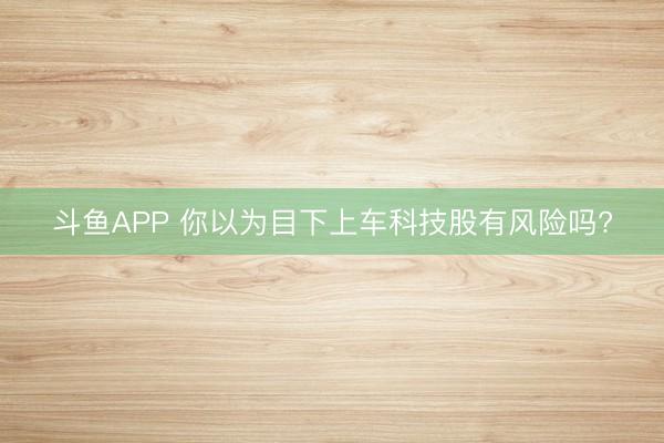 斗鱼APP 你以为目下上车科技股有风险吗?