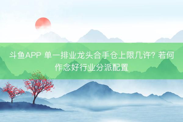 斗鱼APP 单一排业龙头合手仓上限几许? 若何作念好行业分派配置