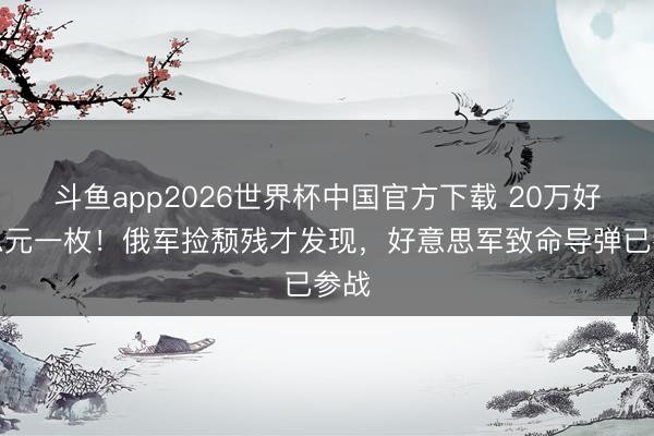 斗鱼app2026世界杯中国官方下载 20万好意思元一枚！俄军捡颓残才发现，好意思军致命导弹已参战