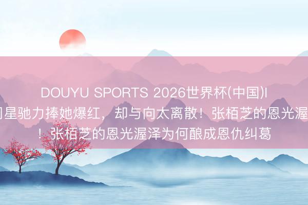 DOUYU SPORTS 2026世界杯(中国)IOS/安卓官方下载 周星驰力捧她爆红，却与向太离散！张栢芝的恩光渥泽为何酿成恩仇纠葛