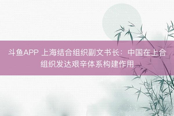 斗鱼APP 上海结合组织副文书长：中国在上合组织发达艰辛体系构建作用