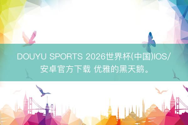 DOUYU SPORTS 2026世界杯(中国)IOS/安卓官方下载 优雅的黑天鹅<a href=