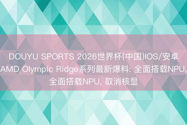 DOUYU SPORTS 2026世界杯(中国)IOS/安卓官方下载 AMD Olympic Ridge系列最新爆料: 全面搭载NPU, 取消核显
