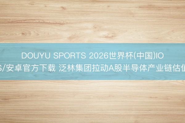 DOUYU SPORTS 2026世界杯(中国)IOS/安卓官方下载 泛林集团拉动A股半导体产业链估值